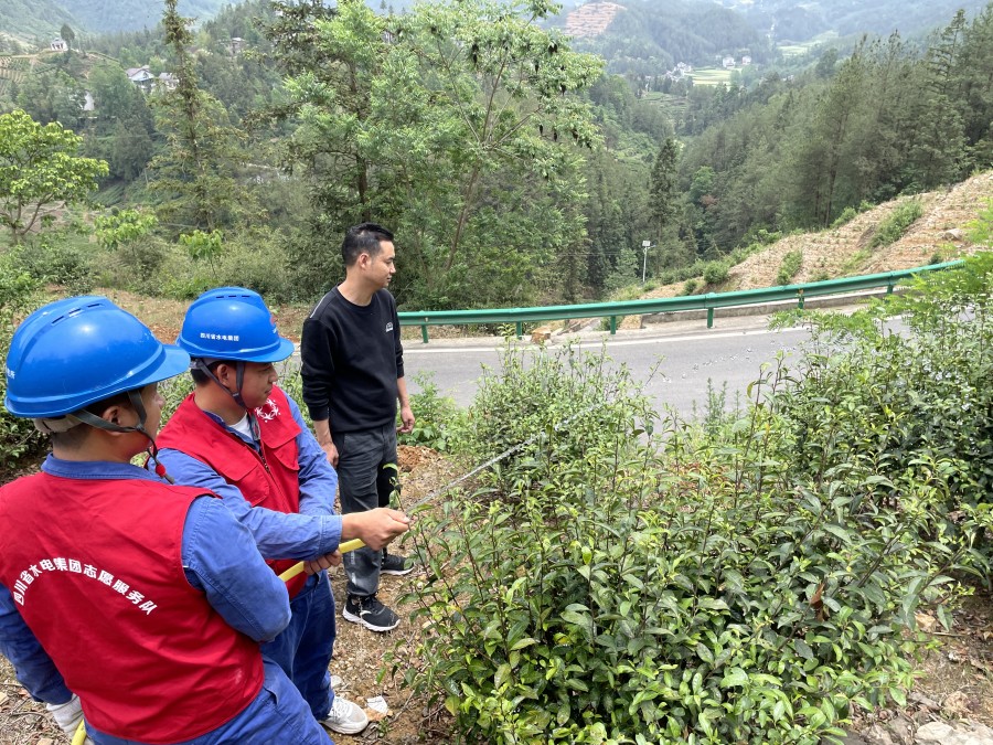 2圖為:協助茶農澆灌茶樹
